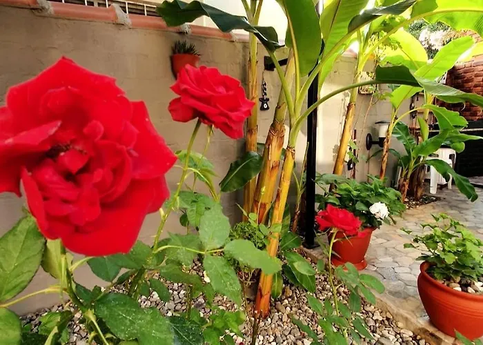 Merkez Bahceli Muestakil Ev Arya Roof House * Marmaris