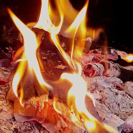 Merkez Bahceli Muestakil Ev Arya Roof House * マルマリス