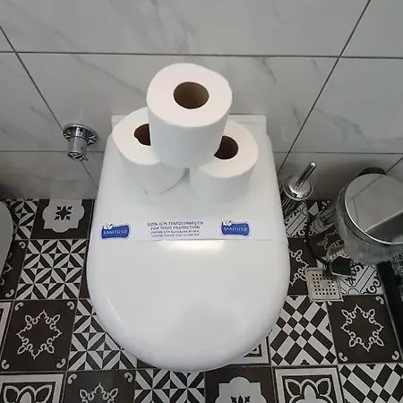Merkez Bahceli Muestakil Ev Arya Roof House