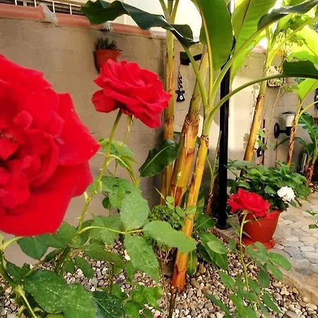 Arya Roof House * مرمريس