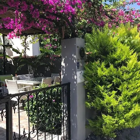 Merkez Bahçeli Müstakil Ev Arya Roof House *