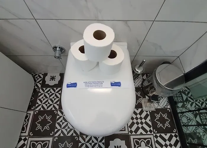 Merkez Bahceli Muestakil Ev Arya Roof House