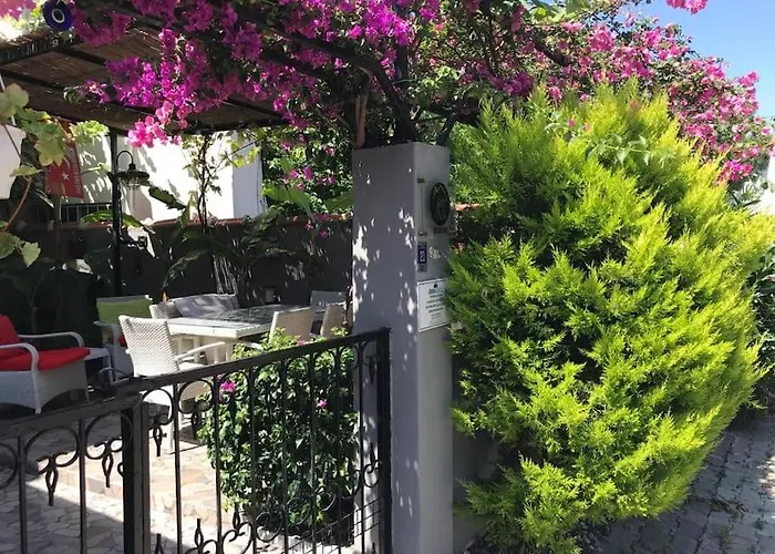 Merkez Bahceli Muestakil Ev Arya Roof House *